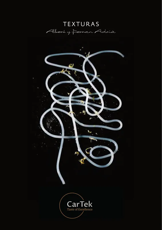 Texturas catalogue cover